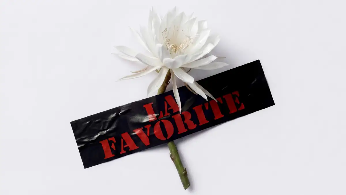 Jean Paul Gaultier La Favorite: Urald a rivaldafényt!