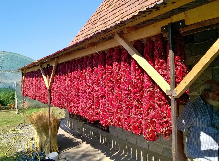 paprika
