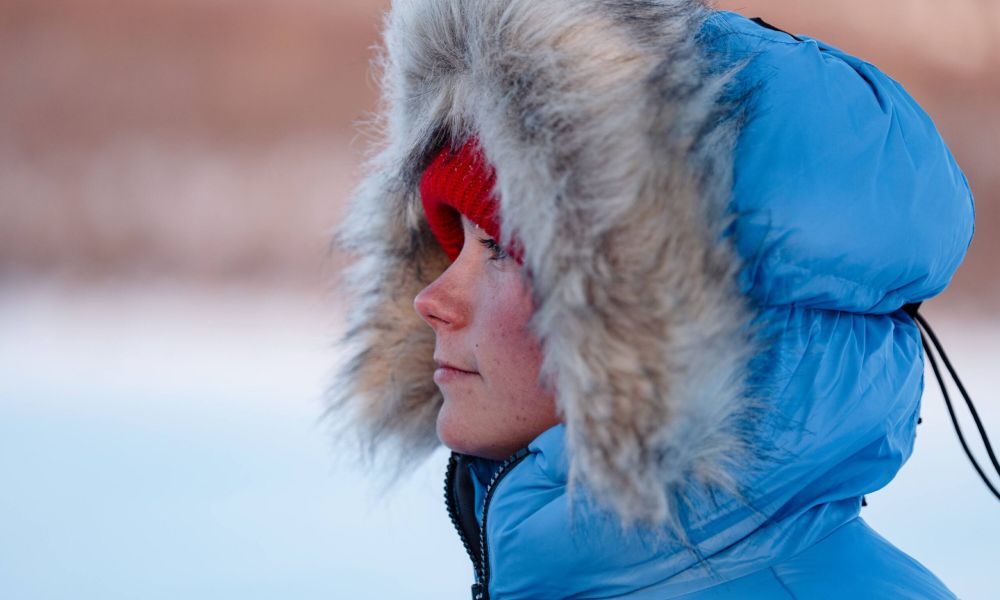 Fjällräven
