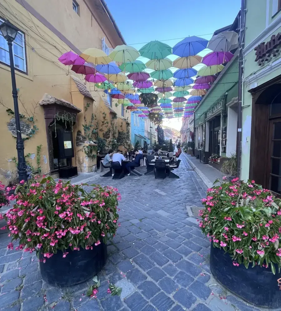 Dinner on the Move - A Taste of Sighișoara
