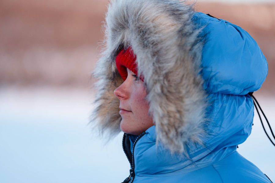Fjällräven
